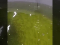 Çevrimiçi Optik Çözünmüş Oksijen Sensörü Rs485 Oksijen Optik Sensörü